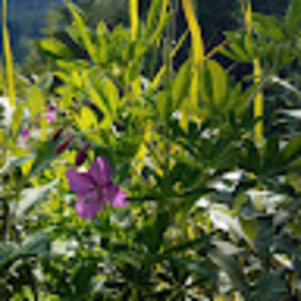 Meet your Posher, Jadyn